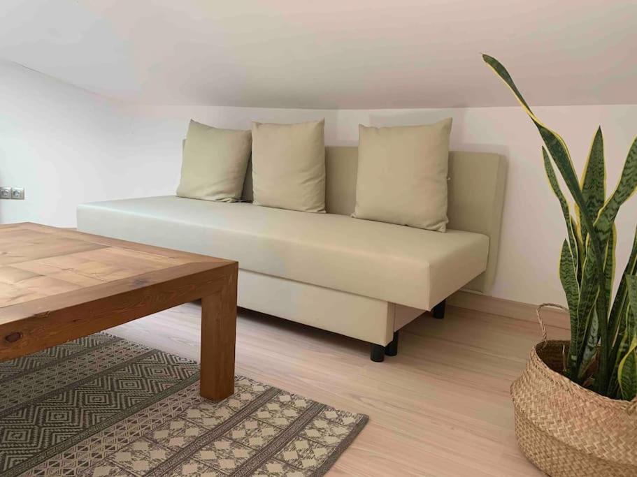 La Pau Apartaments موييروسا المظهر الخارجي الصورة