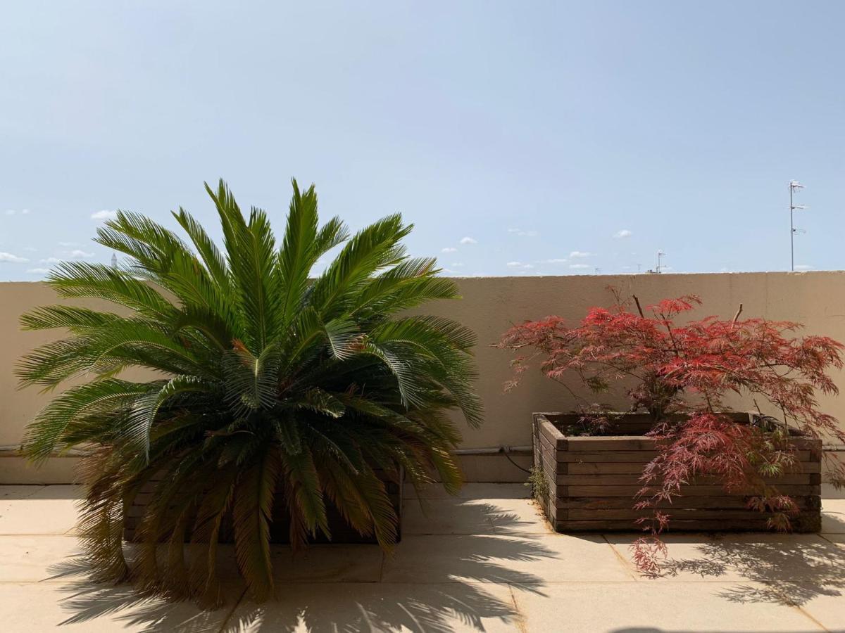 La Pau Apartaments موييروسا المظهر الخارجي الصورة